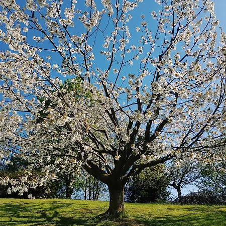 Alte 3* Paderno del Grappa