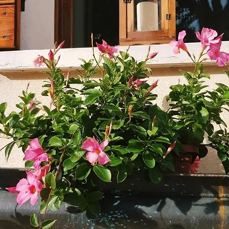 Alte Bed & Breakfast 3*